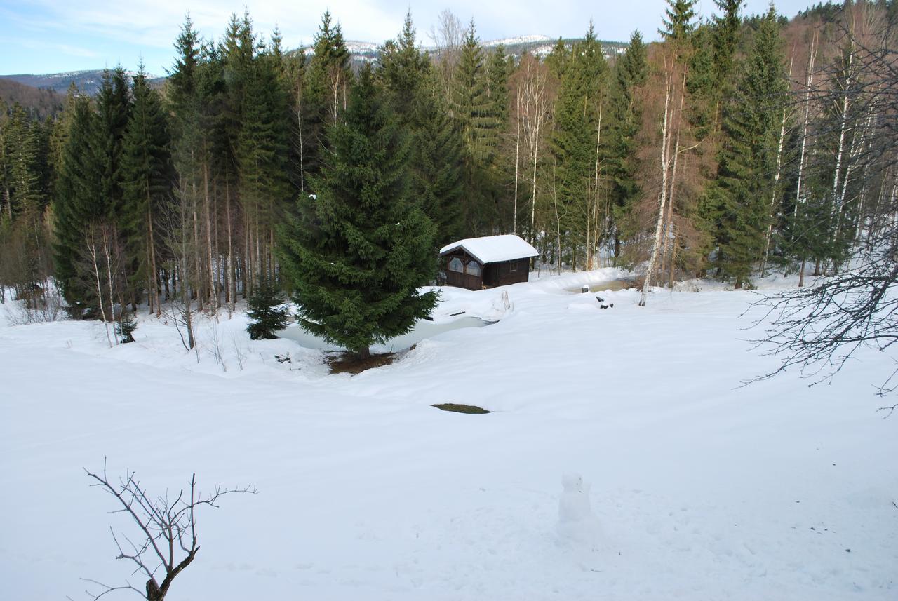 Ferienhaus "Lisa'S Haeusl" Neuschönau Buitenkant foto