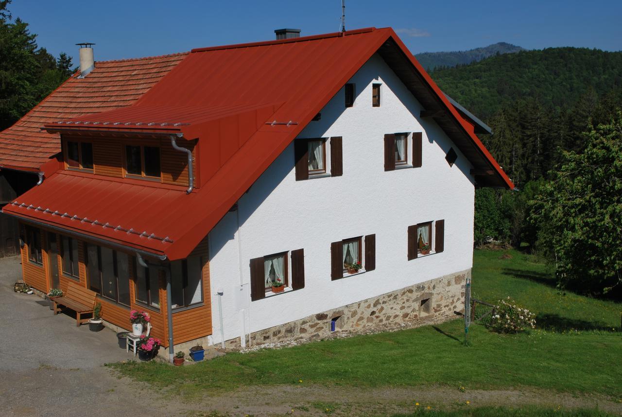Ferienhaus "Lisa'S Haeusl" Neuschönau Buitenkant foto