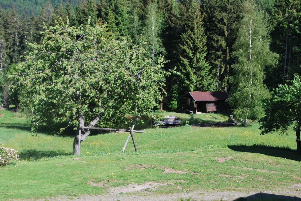 Ferienhaus "Lisa'S Haeusl" Neuschönau Buitenkant foto